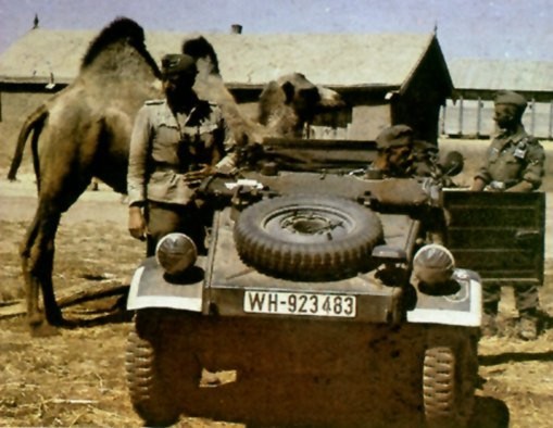 K�belwagen-2.jpg (56362 Byte)