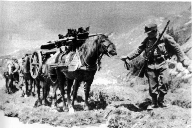 7,5-cmgebK15-7.jpg (88765 Byte)