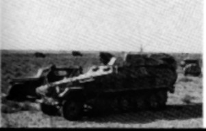 SdKfz251I7-2.jpg (12013 Byte)
