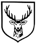 31GDSS-1.jpg (5878 Byte)