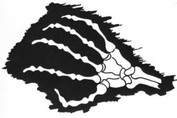 3JG51-1.jpg (12976 Byte)