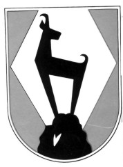 IJG51-1.jpg (10407 Byte)