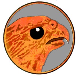 JG51-1.jpg (25921 Byte)