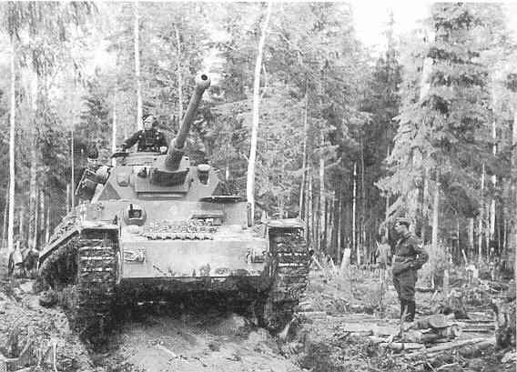 291ID-5.jpg (34873 Byte)