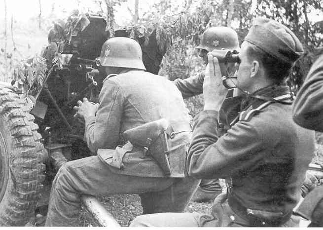 291ID-6.jpg (32113 Byte)