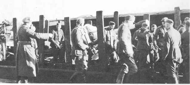 302ID-6.jpg (18458 Byte)