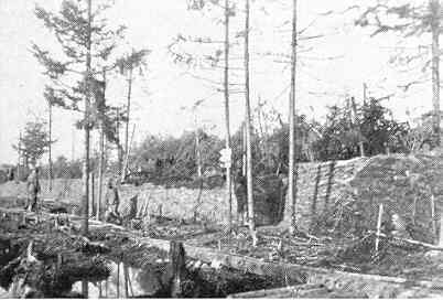 IR102-R.jpg (15570 Byte)