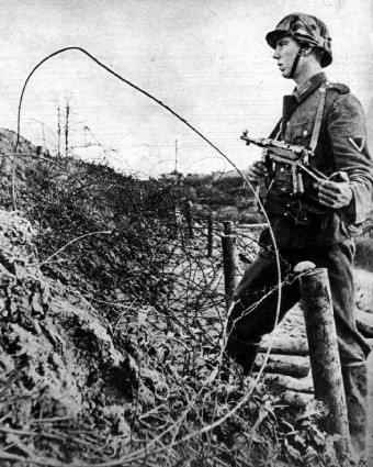 MPSchutze.jpg (69182 Byte)